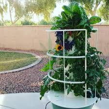 aeroponics tower garden for cans