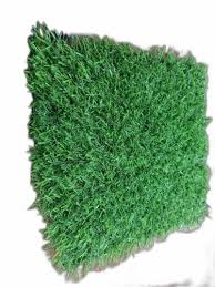 35mm green gr carpet