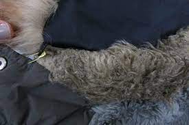 How To Fix Matted Fur Trim On A Winter
