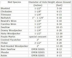 Image Result For Birdhouse Hole Sizes Uk Cardinal Bird