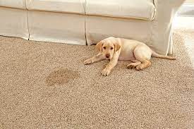 nylon vs polyester carpet amazing floors
