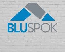 Image of Bluspok logo