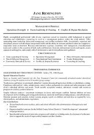 Unique Sample Resume Profile For Improve Professional Profile Resume