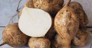 Is turnip the same as jicama?
