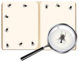 Free Vector Fly Insects On Blank Book