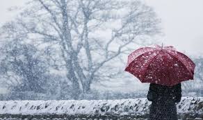 Image result for winter photos