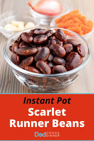 instant pot scarlet runner beans