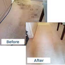 the 1 carpet cleaning in houston tx