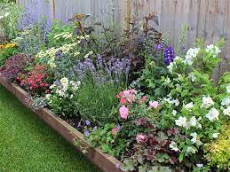 Plant An Eco Friendly Garden Border