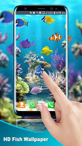 aquarium live wallpaper fish