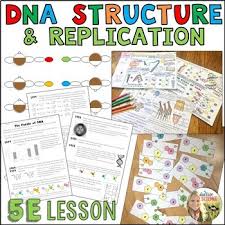 Describe the origin of each strand of the new double helices. Dna Structure And Replication Worksheets Teaching Resources Tpt