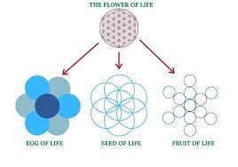 flower of life symbol what does it