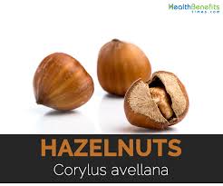hazelnuts facts health benefits and