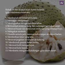 Share to twitter share to facebook share to pinterest. Nak Fakta On Twitter Khasiat Buah Durian Belanda Nakfakta Nakbebel