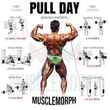 epic pull day workouts the ultimate