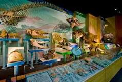 Mississippi Museum of Natural Science de Jackson | Horario, Mapa y entradas 3