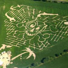 corn maze directory for 2019 hubpages