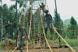 Image result for military activities and puja in army