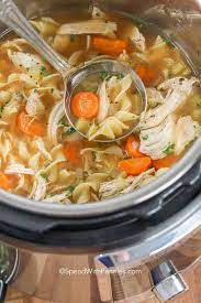 Instant Pot Chicken Noodle gambar png