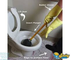 unclog or fix slow draining toilet