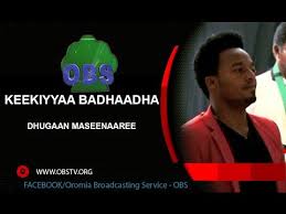 As an adult, kenya became a lawyer. Gossip Account Keekiyaa Badhanee Nimona Posts Facebook Keekiyaa Badhaadhaa Warri Kun Live Performance Oromo Music