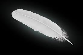 white feather meaning and symbolism