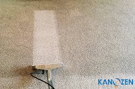 carpet cleaner ing guide
