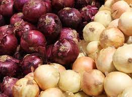 Raw onions recalled in Quebec and ...
