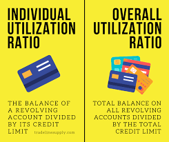 individual credit utilization overall