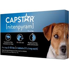 zodiac carpet upholstery flea tick