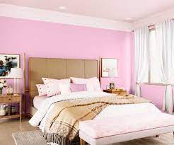 Maiden Pink 8129 House Wall Painting