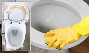 How To Clean Toilet Seats Magic Item