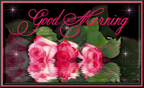 good morning pink rose reflection gif