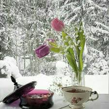 گل و چای،،،سلامتی برف ،به خاطر زیبایی و سردیش - عکس ویسگون
