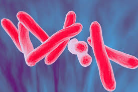 Tuberculosis (tb) is an infectious disease usually caused by mycobacterium tuberculosis (mtb) bacteria. What Is Tuberculosis Kncv Tuberculosefonds