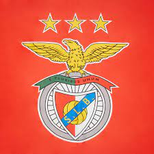 Arquivo de imagem do logo da marca sl benfica. Red Flag With The Sl Benfica Logo Sl Benfica