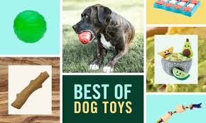 the best dog toys according to chewy