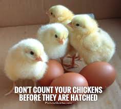 Image result for DONT COUNT YOUR CHICKENS