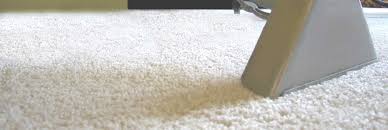 carpet cleaning nashville 1 rated
