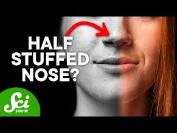why you can t breathe out of your nose