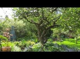 Planning A Fruit Garden How To Make A