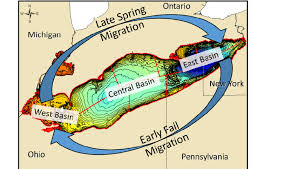 Figure K 1 Depth Contour Map Of Lake Erie With