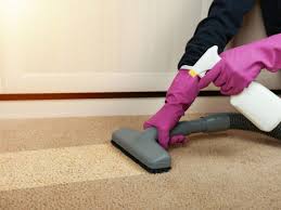 carpet flooring cleaner