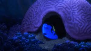 Relevant newest # cute # disney # adorable # pixar # reaction gif cute # disney # adorable # pixar # reaction gif # funny # eyes # fish # finding nemo # nemo Finding Nemo Trending Gifs