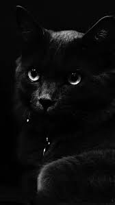 black cat cats eyes halloween watch