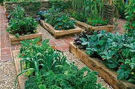 Plan Your Vegetable Garden The