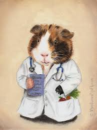Guinea Pig Doctor Art Print 8x10