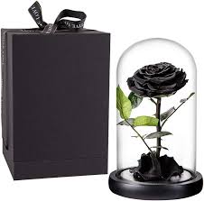 preserved rose black roses handmade