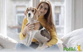 Potiki Pet Insurance gambar png