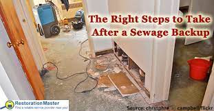 What To Do After A Sewage Backup How